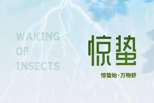 時至驚蟄 | 春雷始鳴，萬物生機盎然